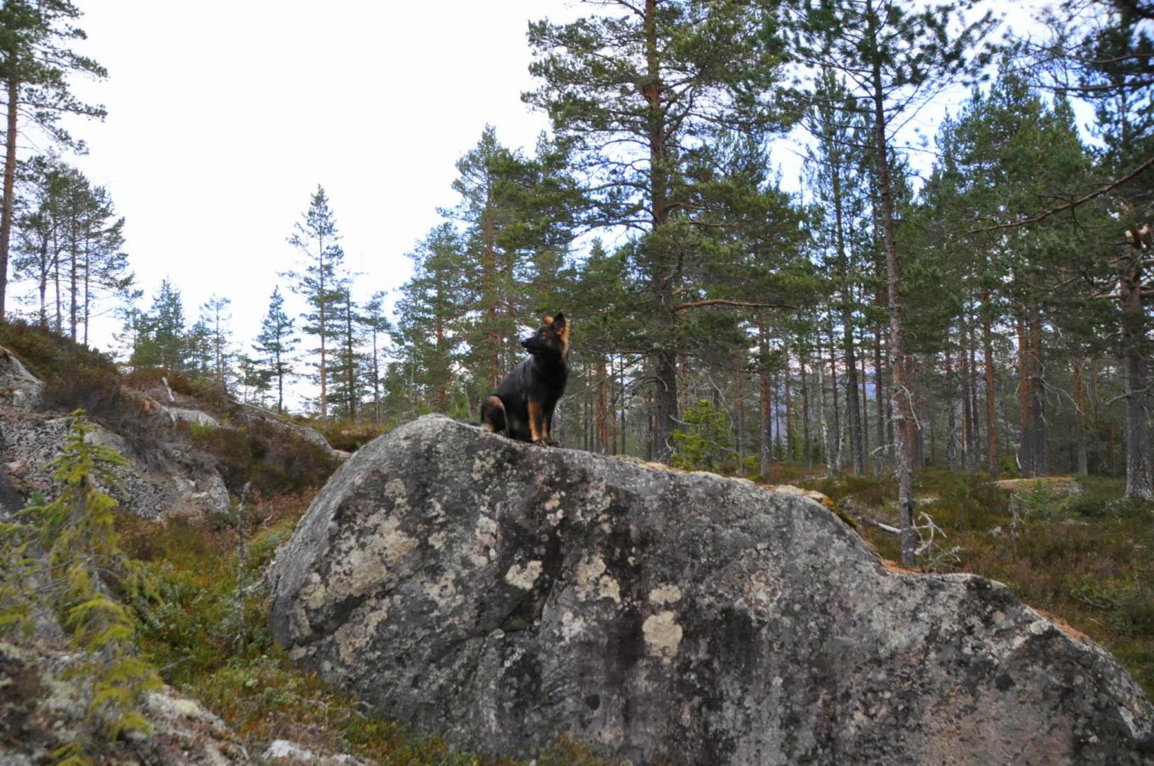 DSC_0074.JPG