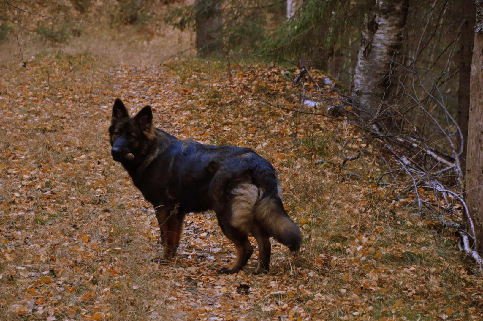 DSC_0123.JPG