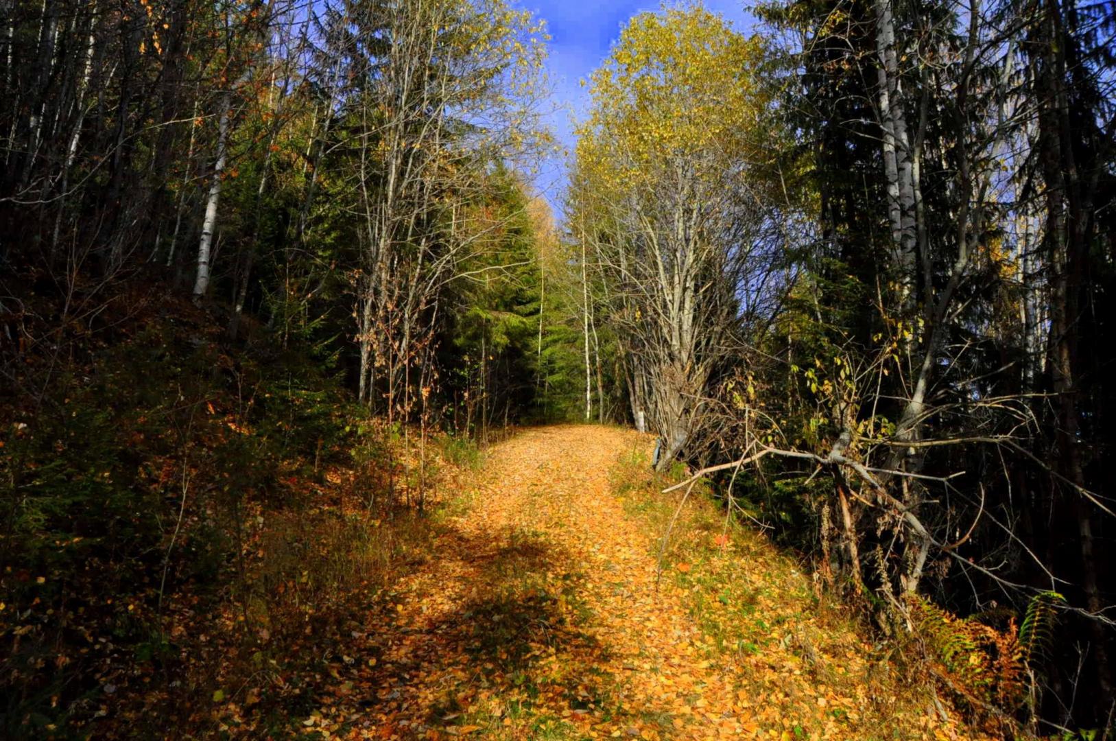 DSC_0126.JPG