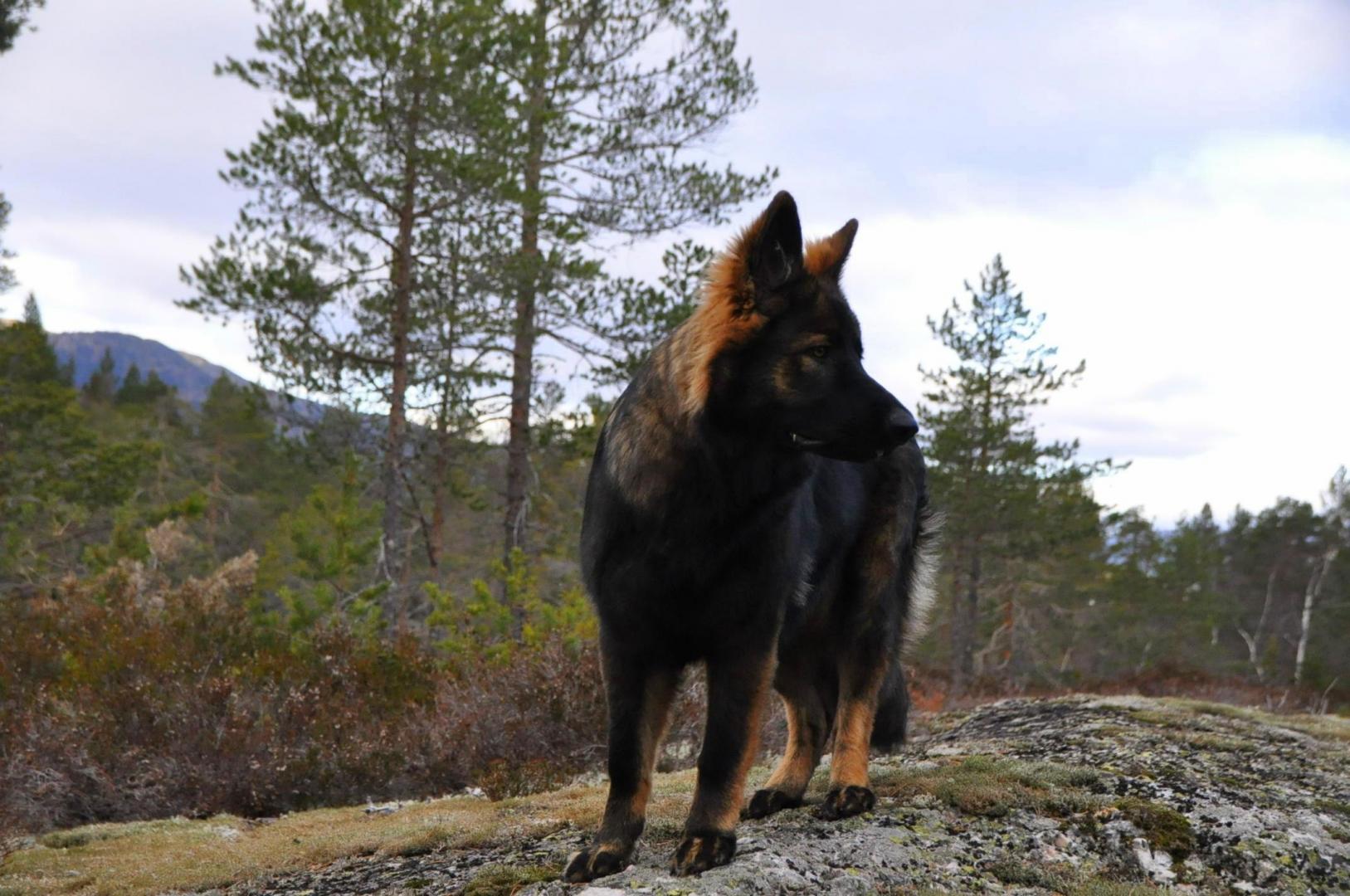 DSC_0147.JPG