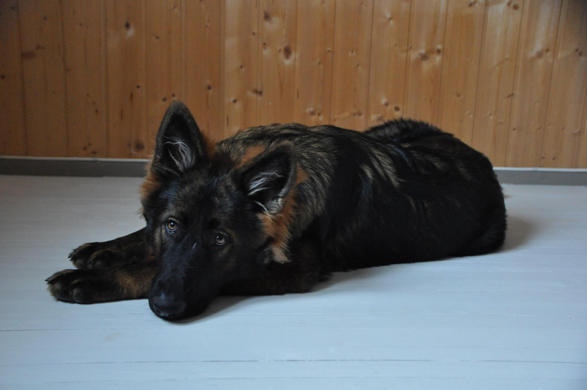 DSC_0175.JPG
