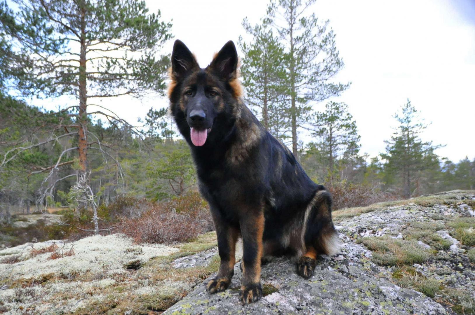 DSC_0179.JPG