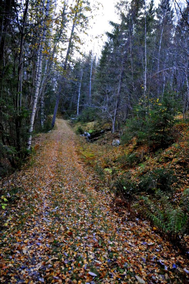 DSC_0180.JPG