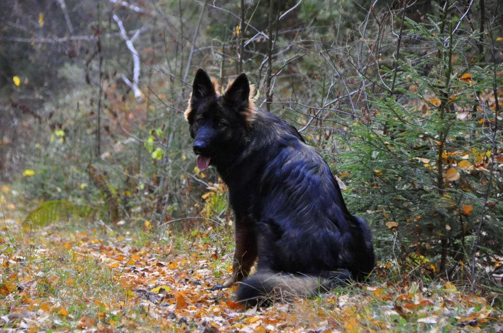 DSC_0183.JPG
