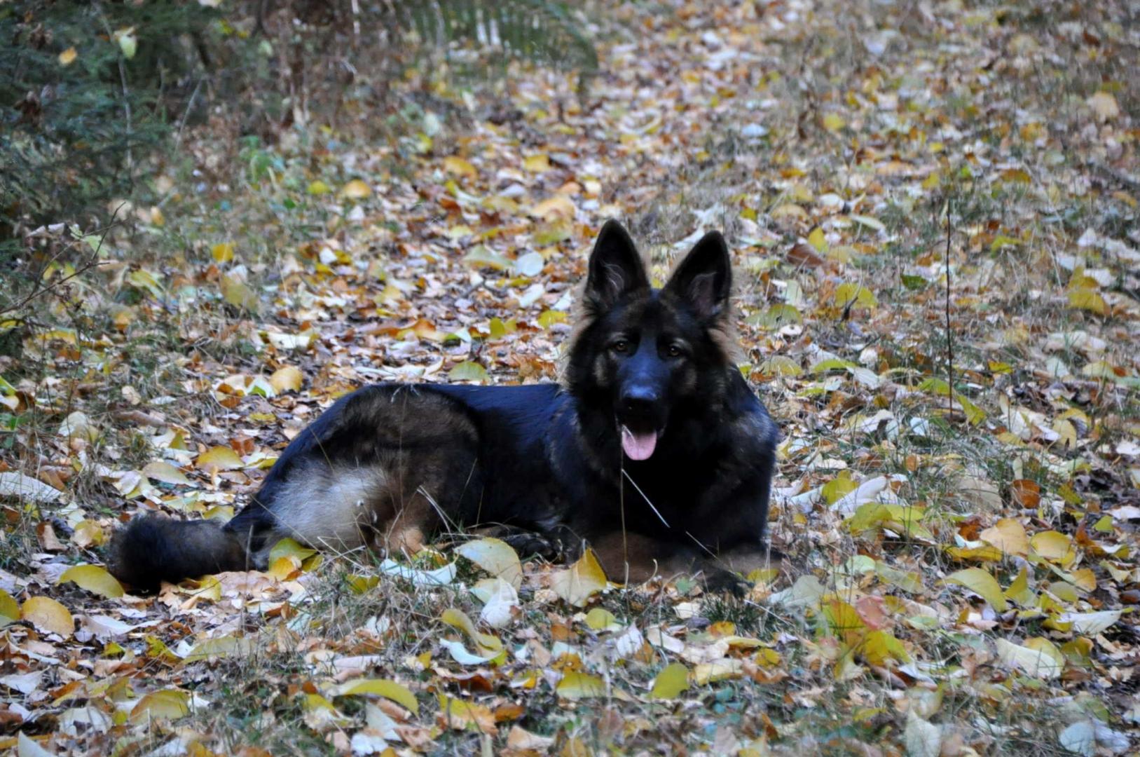 DSC_0191.JPG