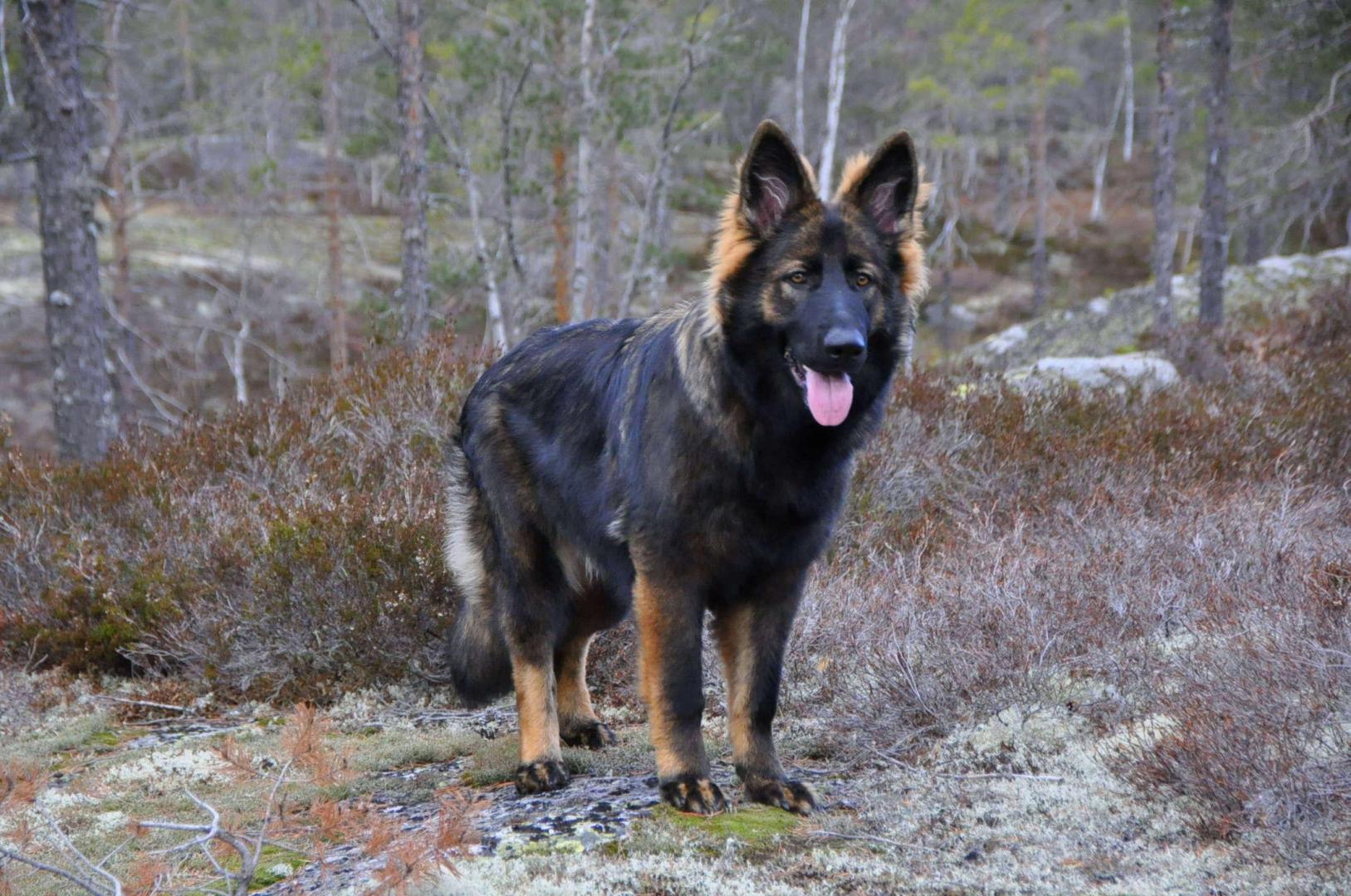 DSC_0209.JPG