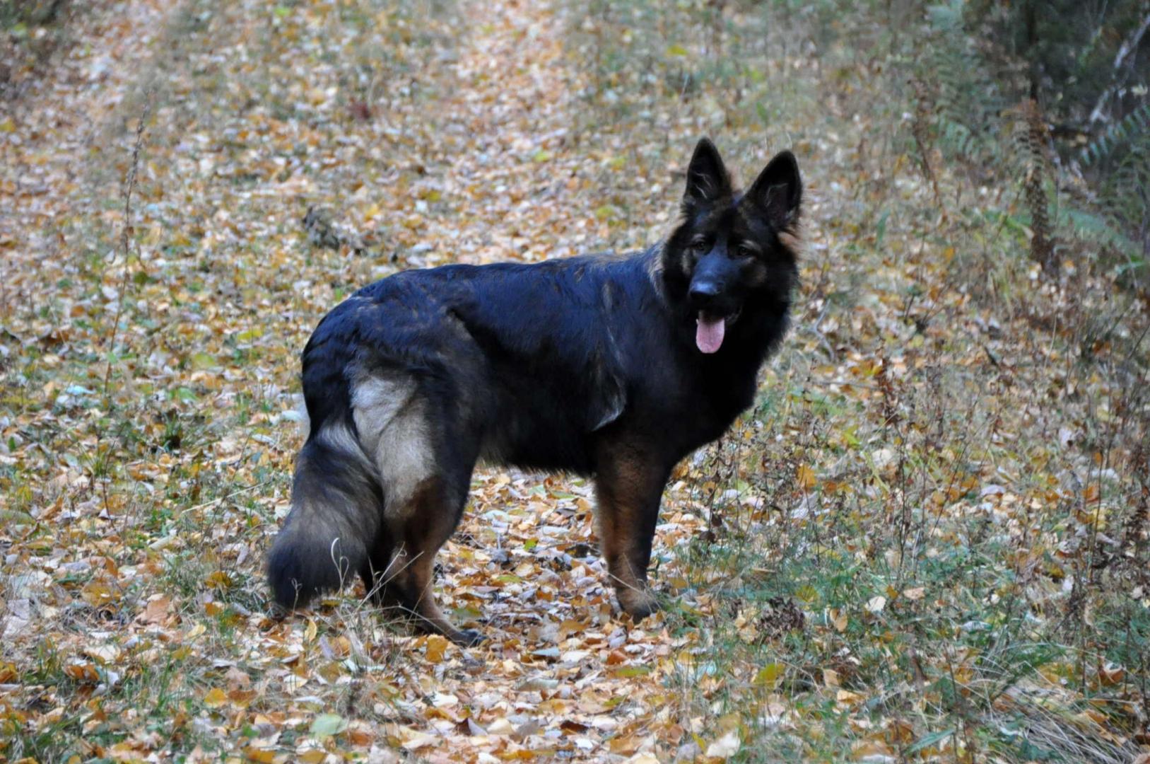 DSC_0236.JPG
