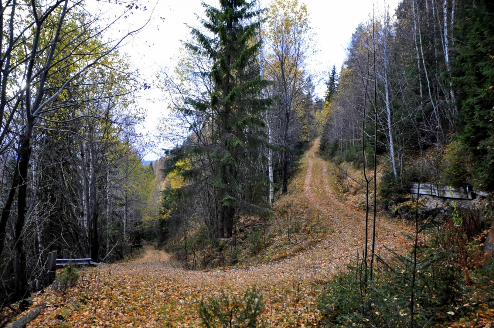 DSC_0266.JPG