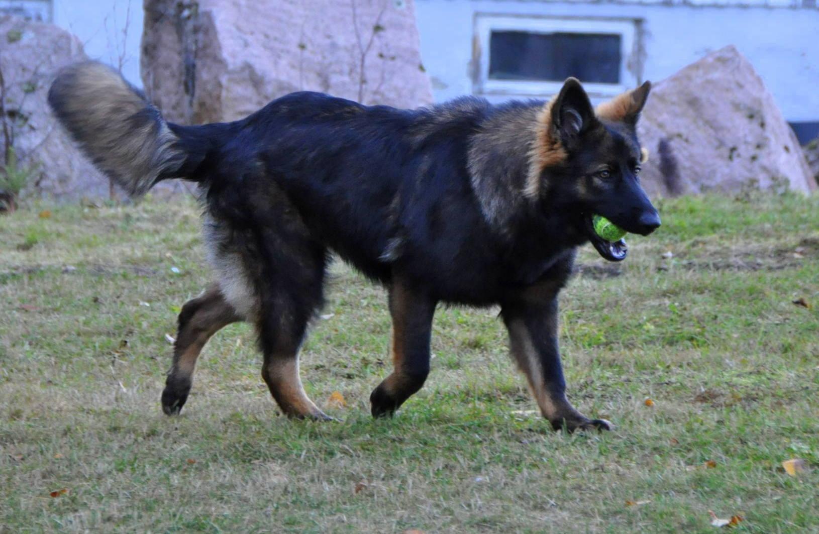 DSC_0284.JPG