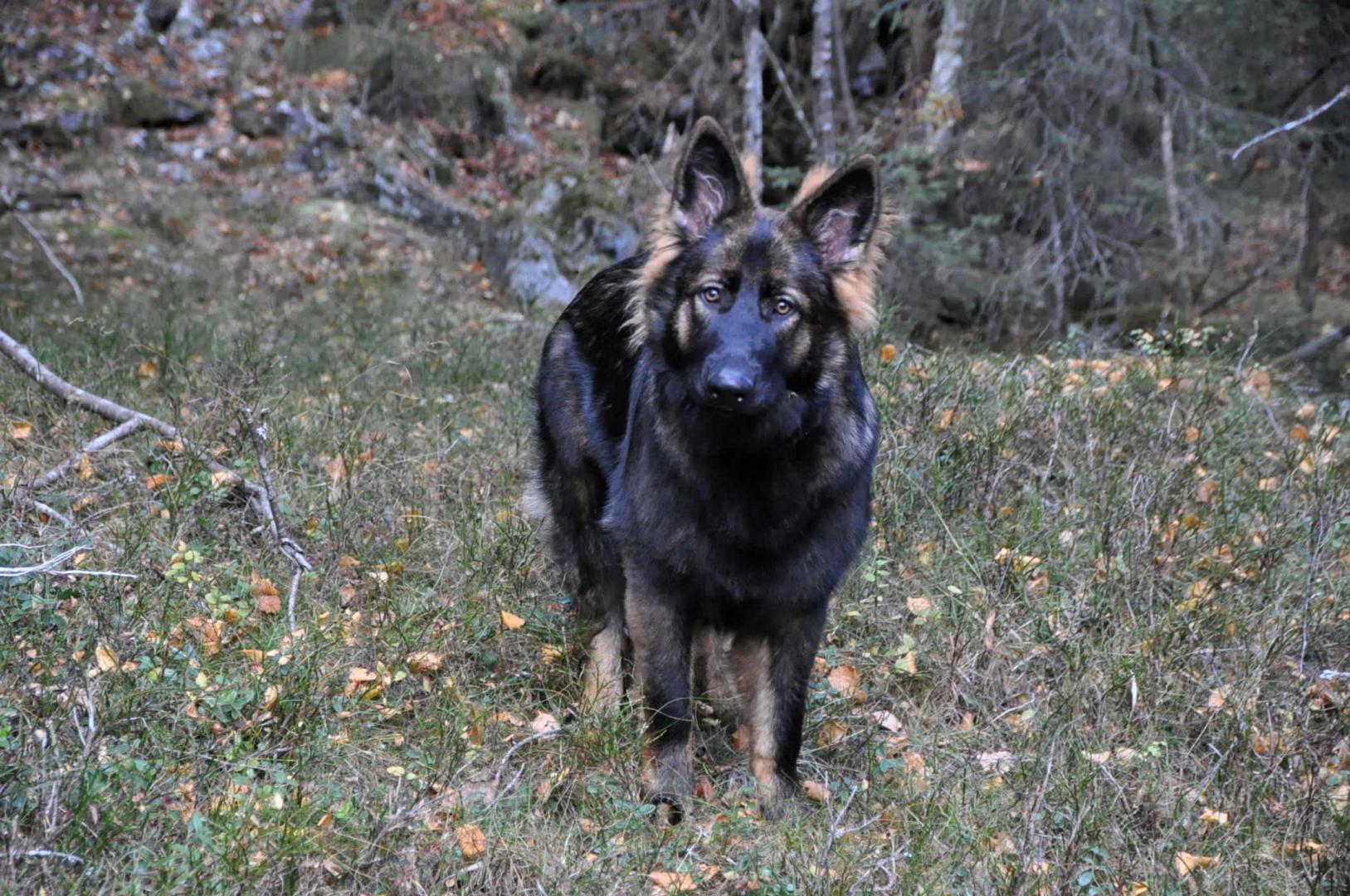 DSC_0296.JPG