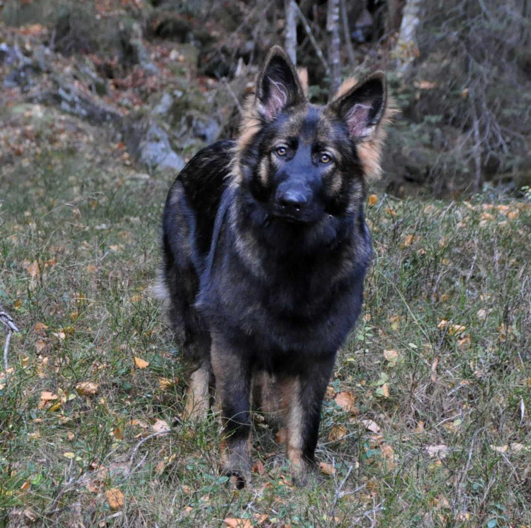 DSC_0297.JPG