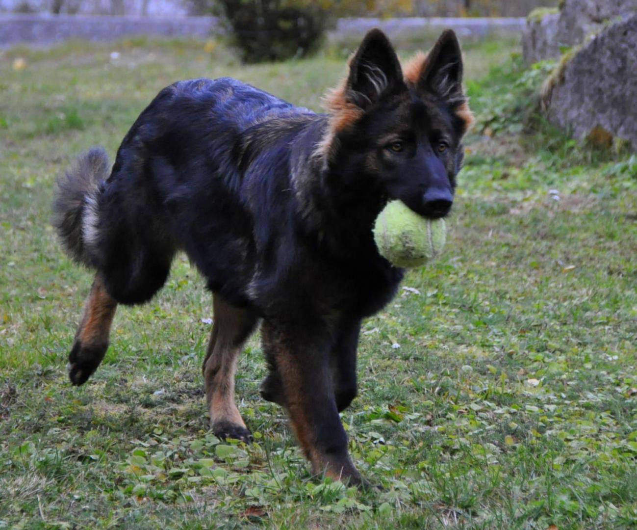 DSC_0352.JPG