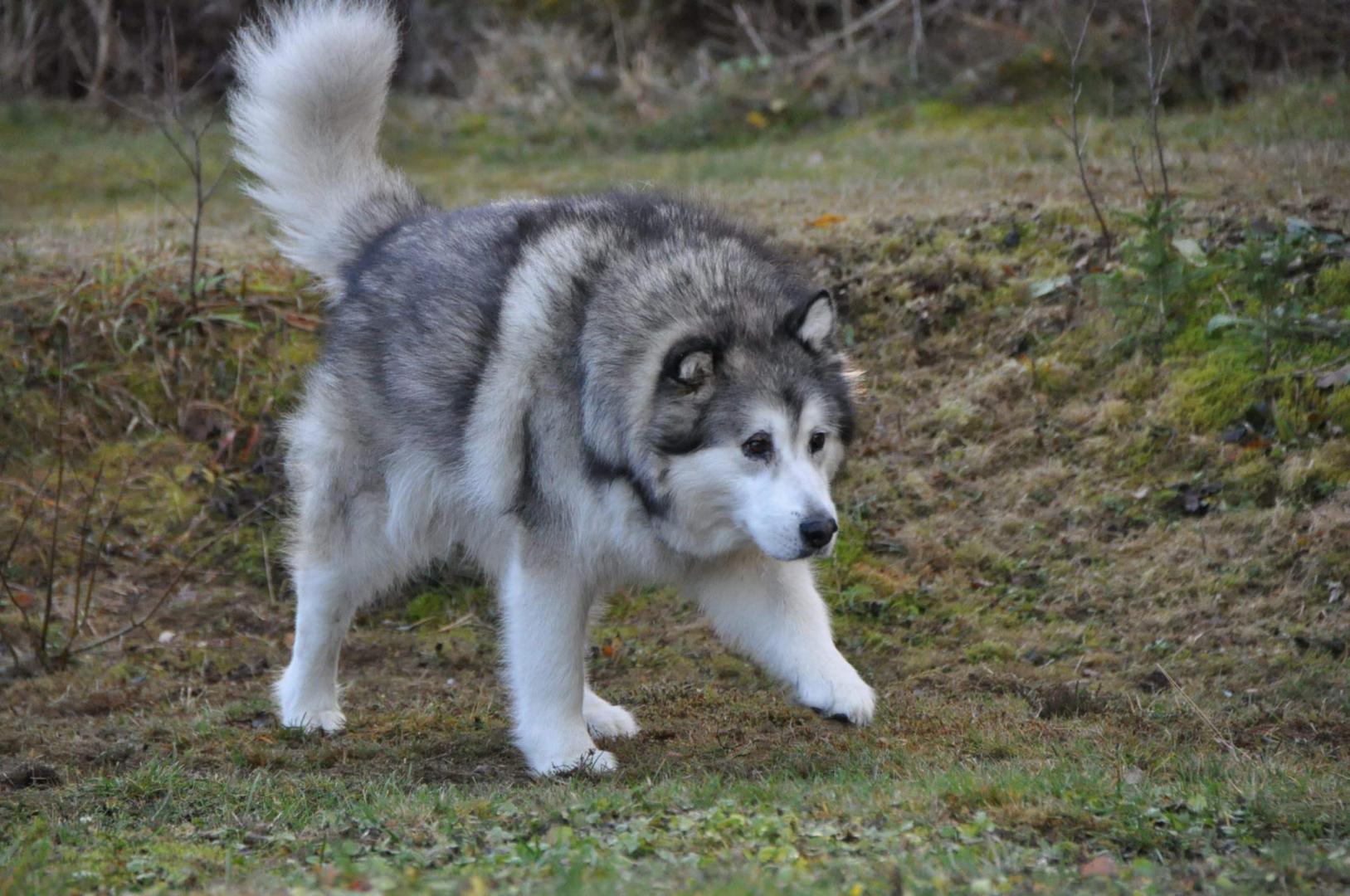 DSC_0372.JPG