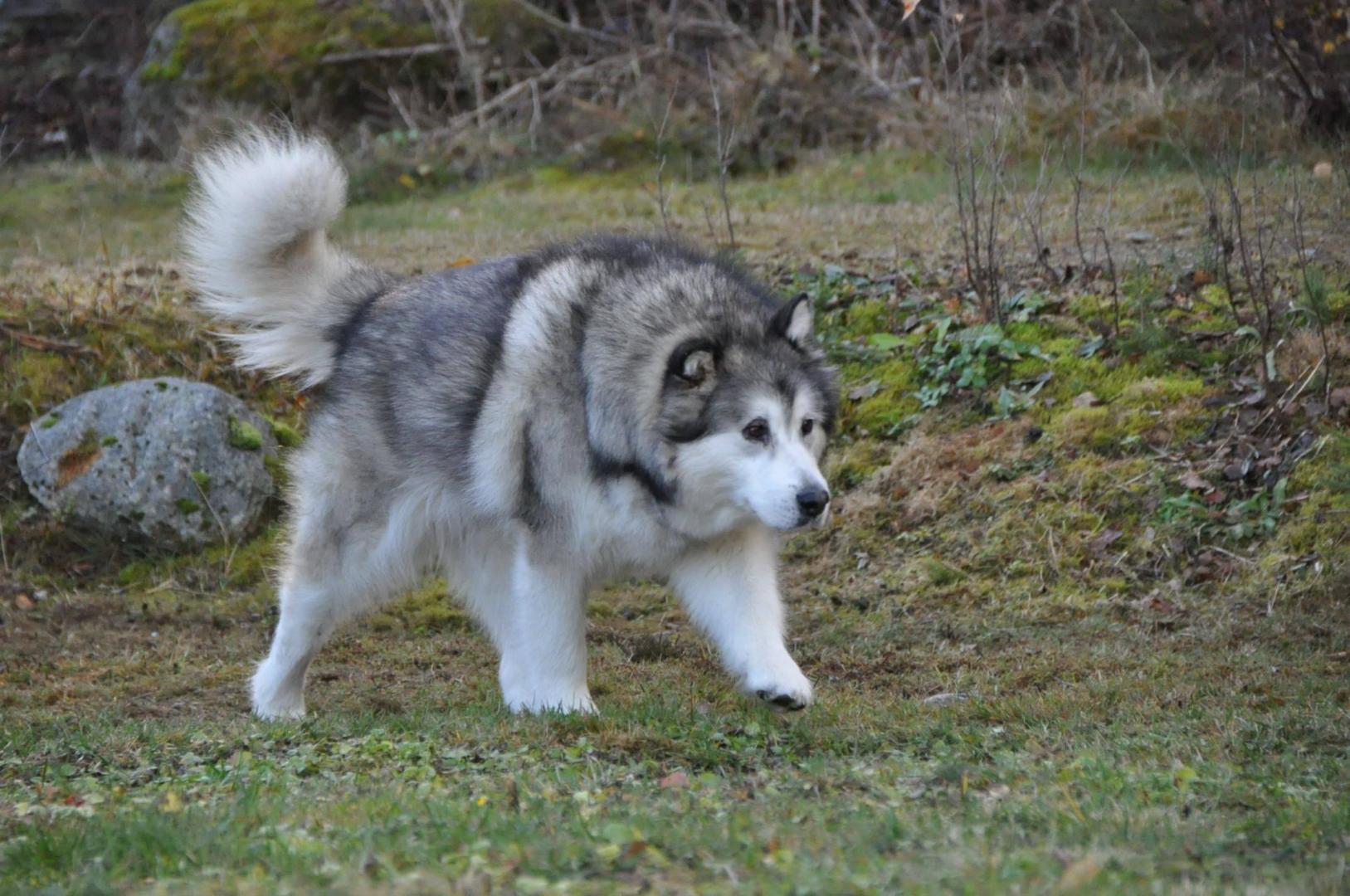 DSC_0376.JPG