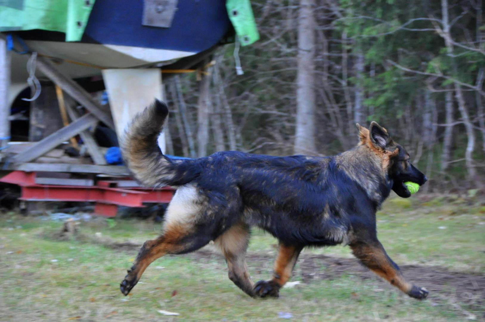 DSC_0411.JPG