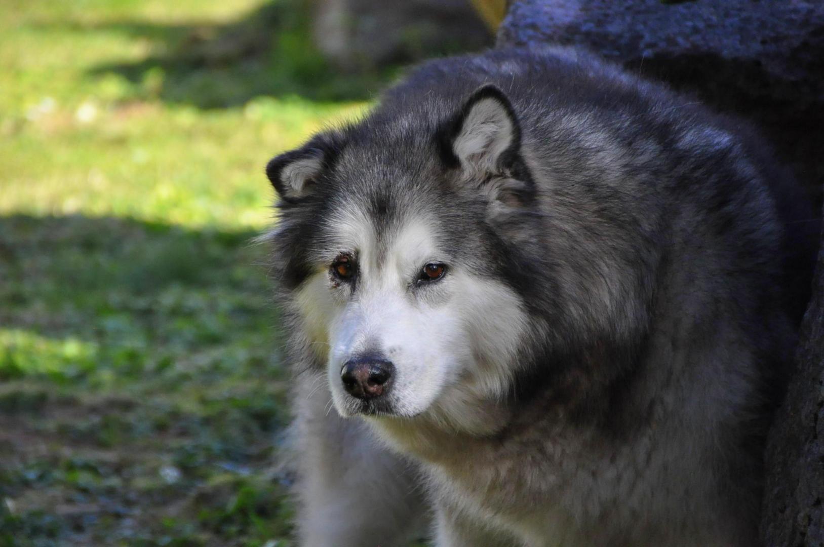 DSC_0611.JPG