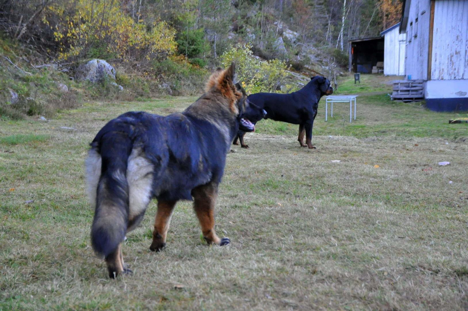 DSC_0695.JPG