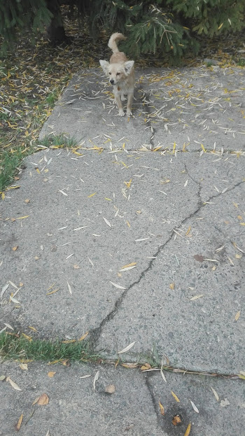 image.png.85e6f13edbc8d0604406747b1955c442.png