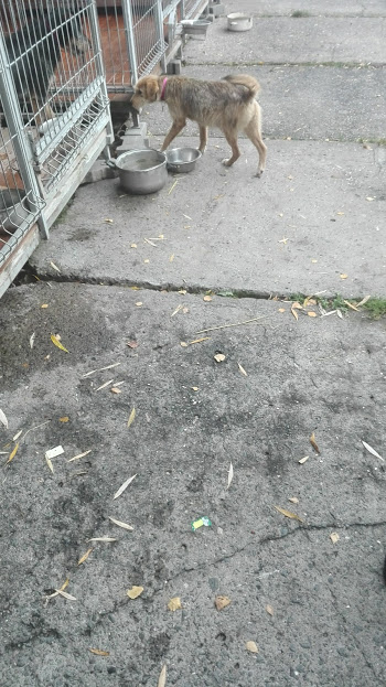 image.png.e5be5102cf77cc232eff21b8ea177825.png
