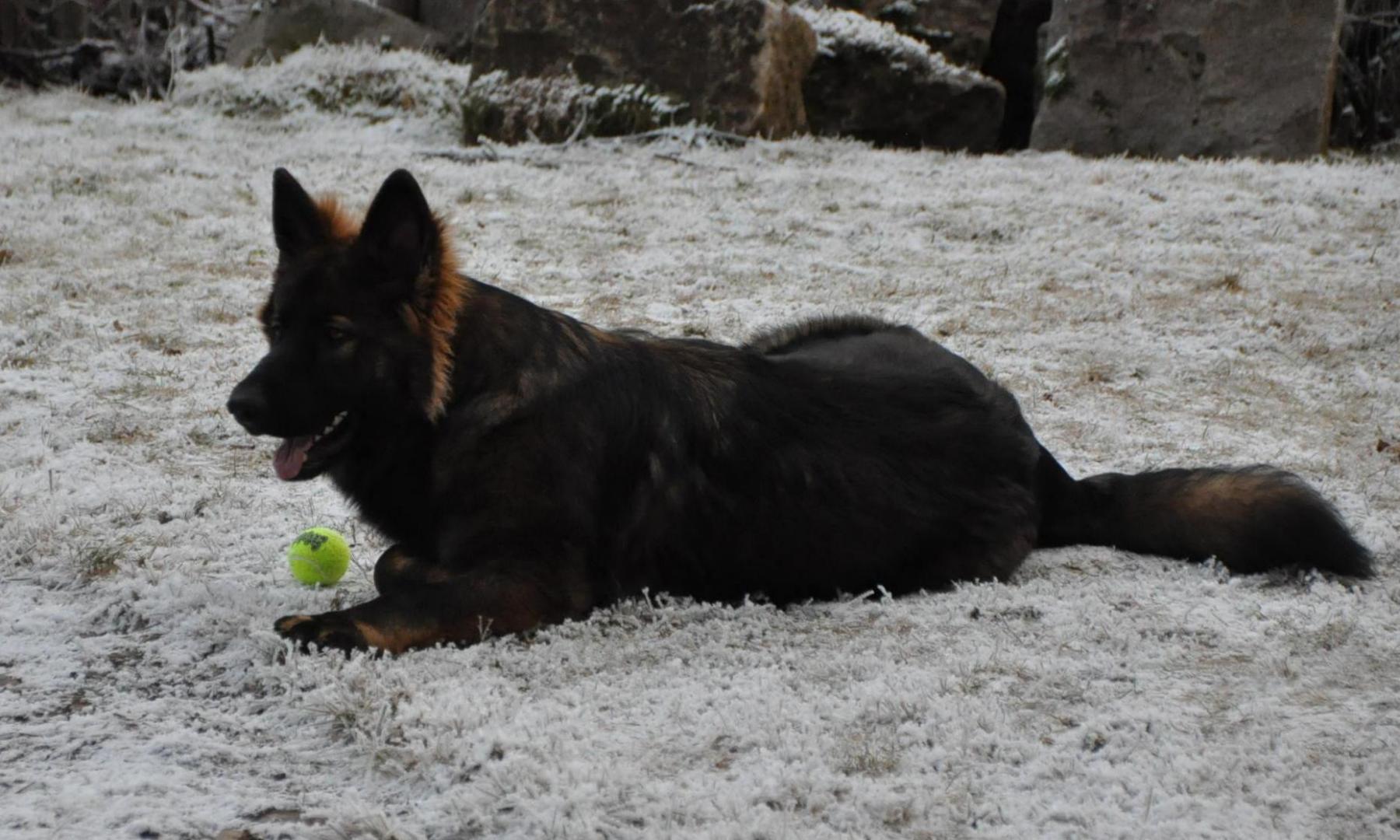 DSC_0035.JPG