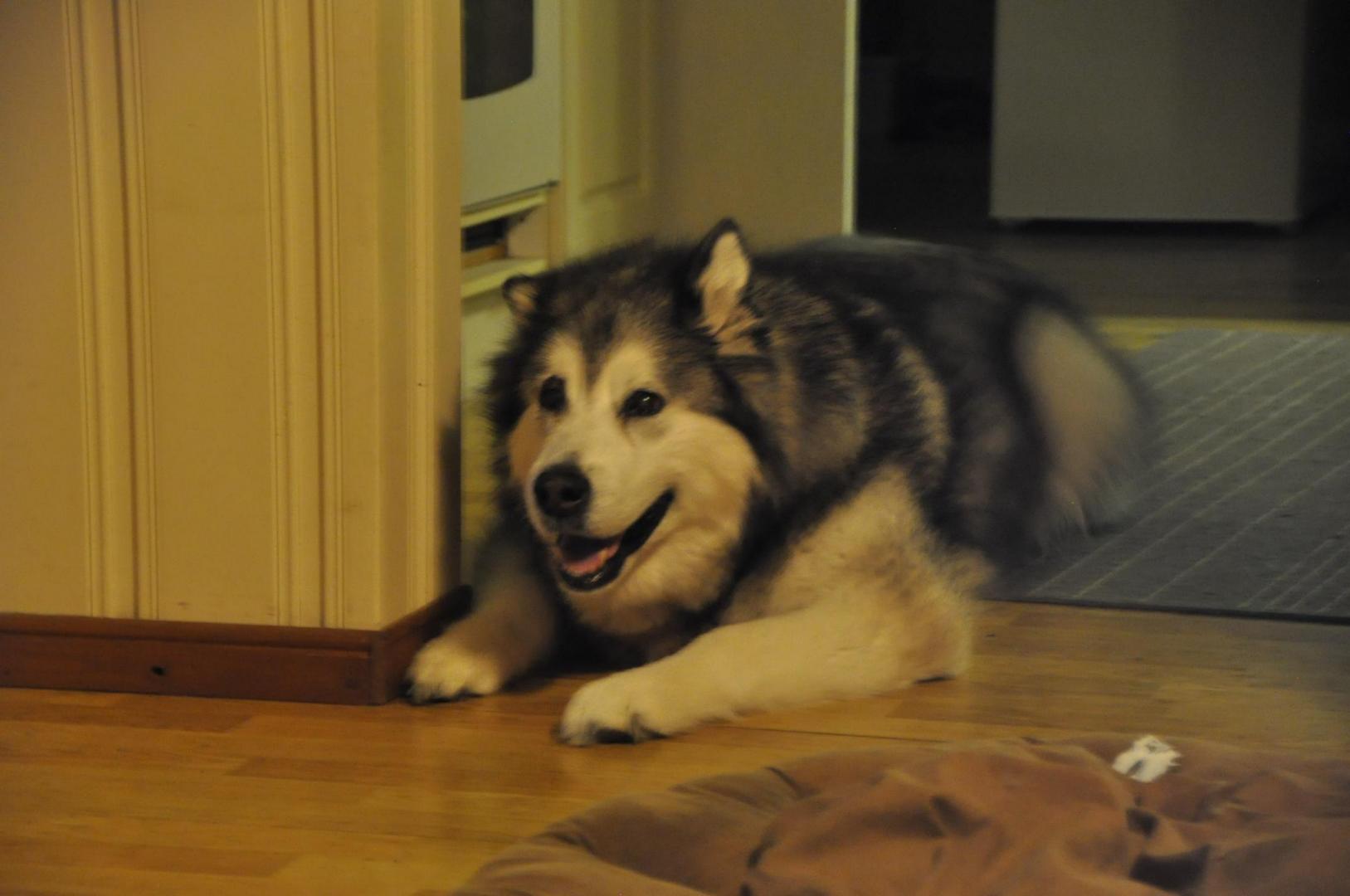 DSC_0038.JPG