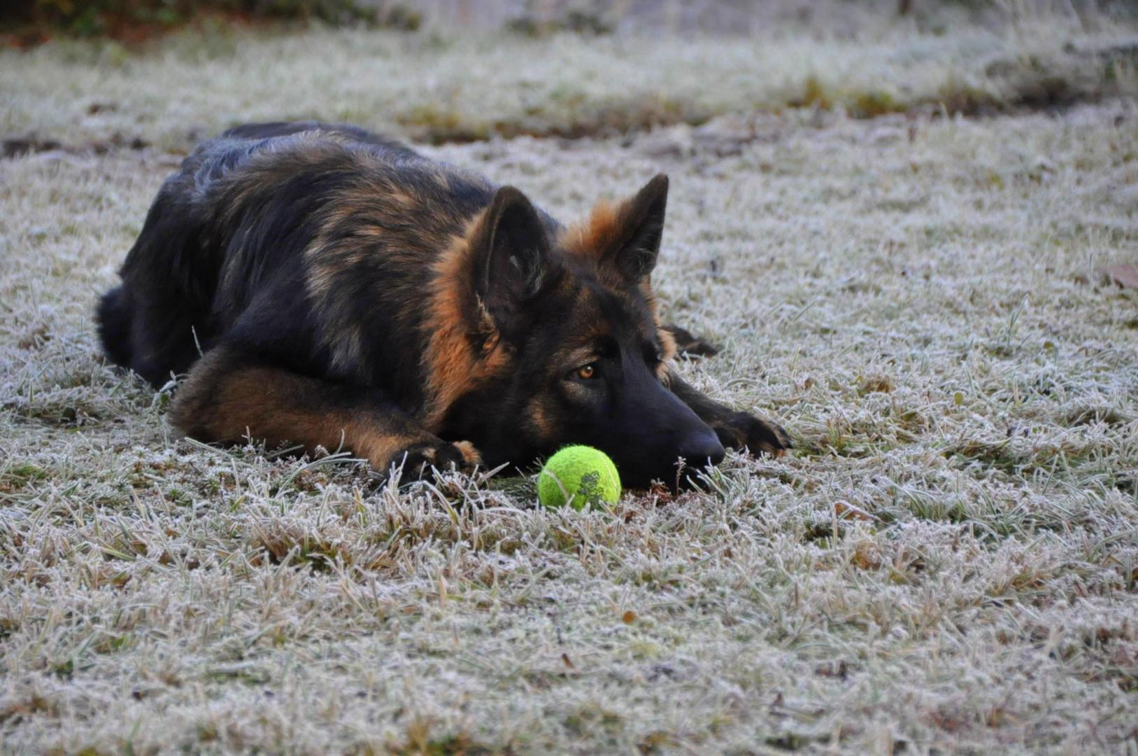DSC_0145.JPG
