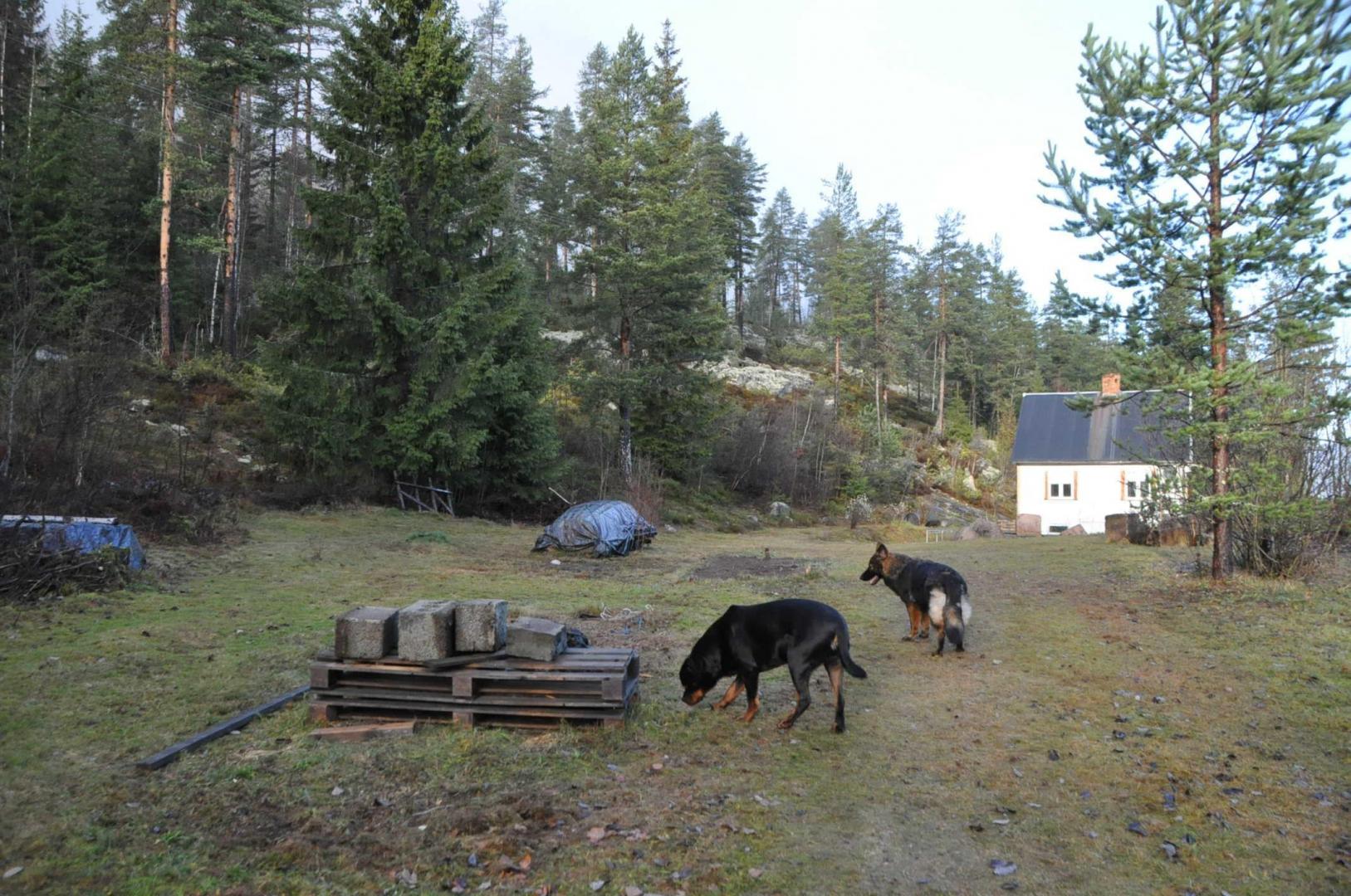 DSC_0310.JPG