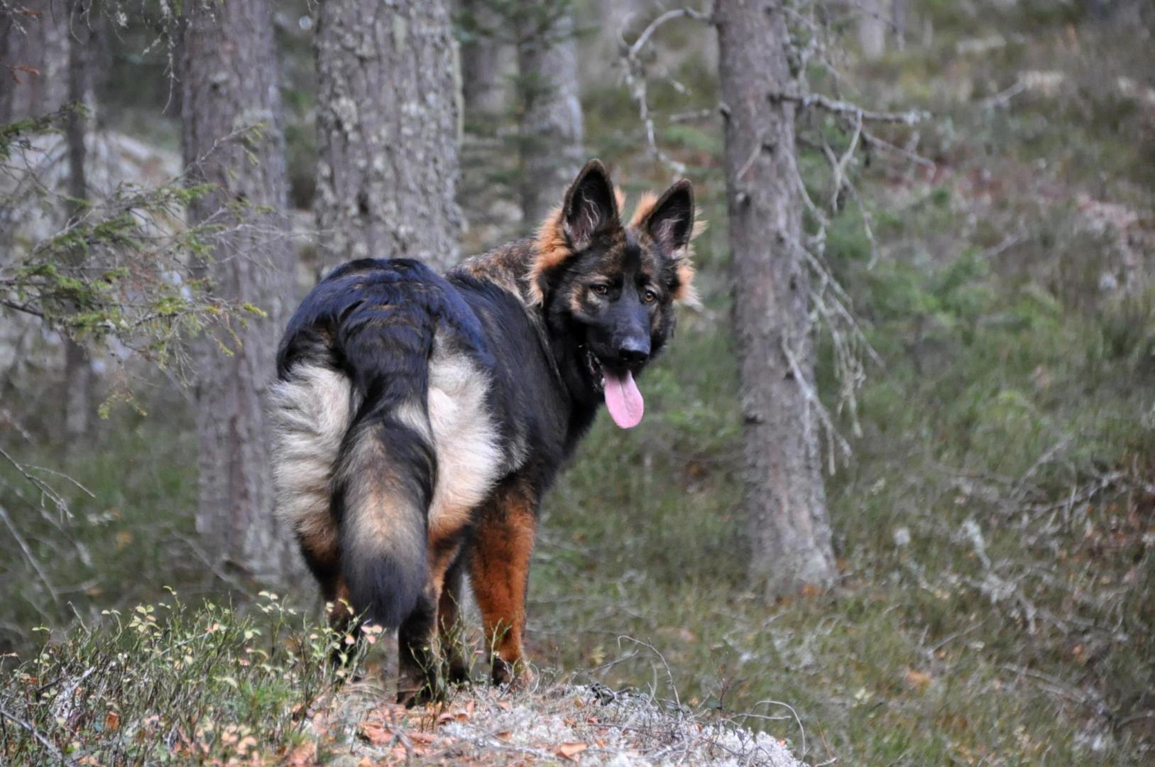 DSC_0370.JPG