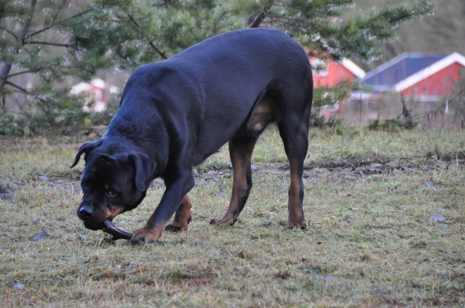 DSC_0867.JPG