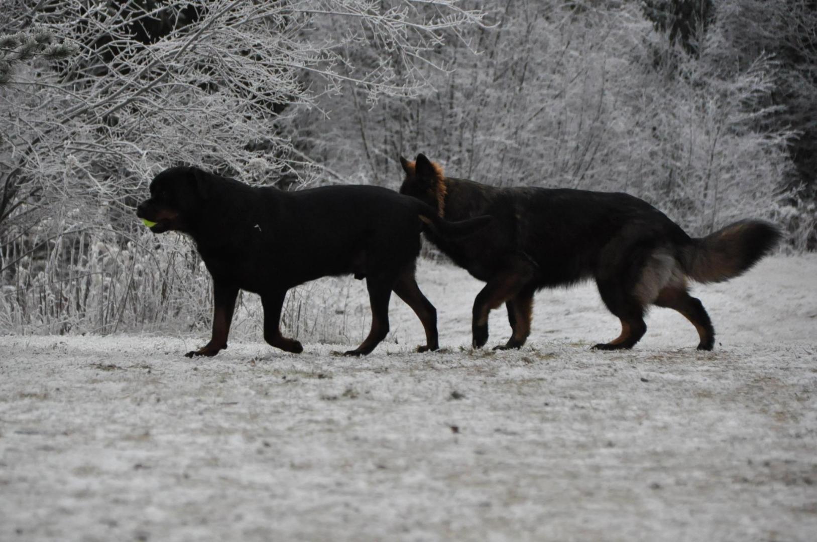 DSC_0874.JPG