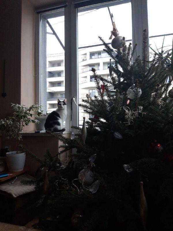 SAVE_20181224_094701.jpg