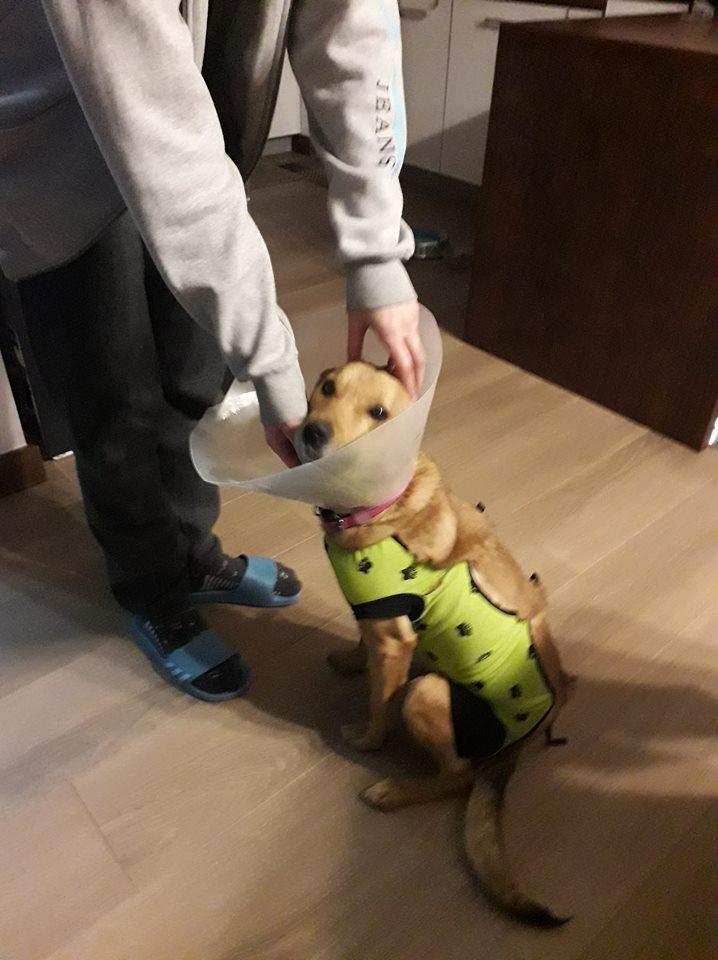 lusi2.thumb.jpg.5913bb62e005633e143b60a8b77cef2c.jpg