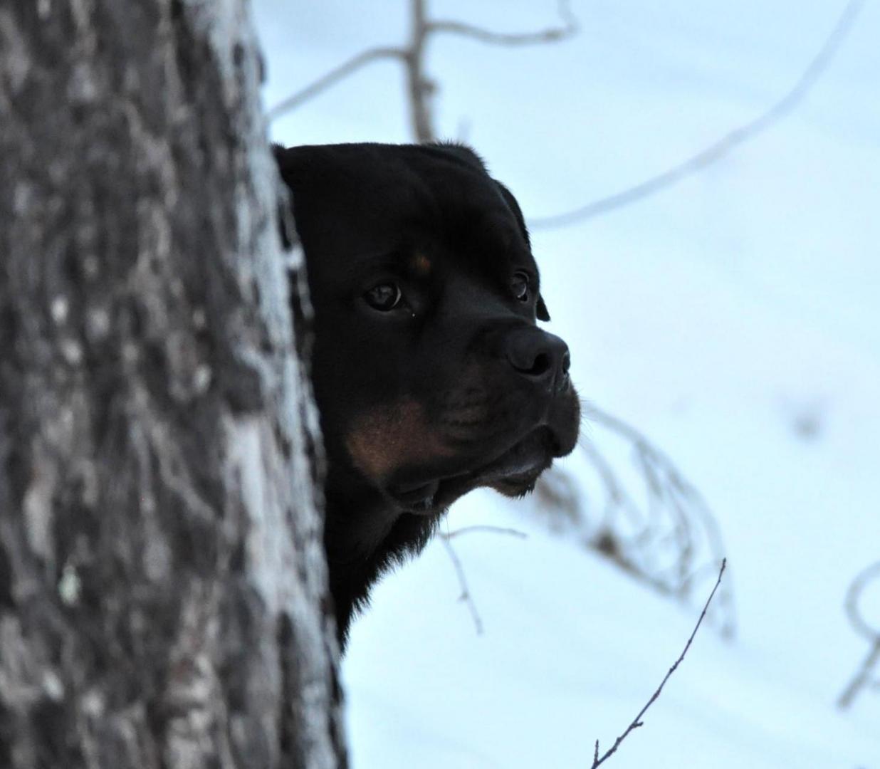 DSC_0014.JPG