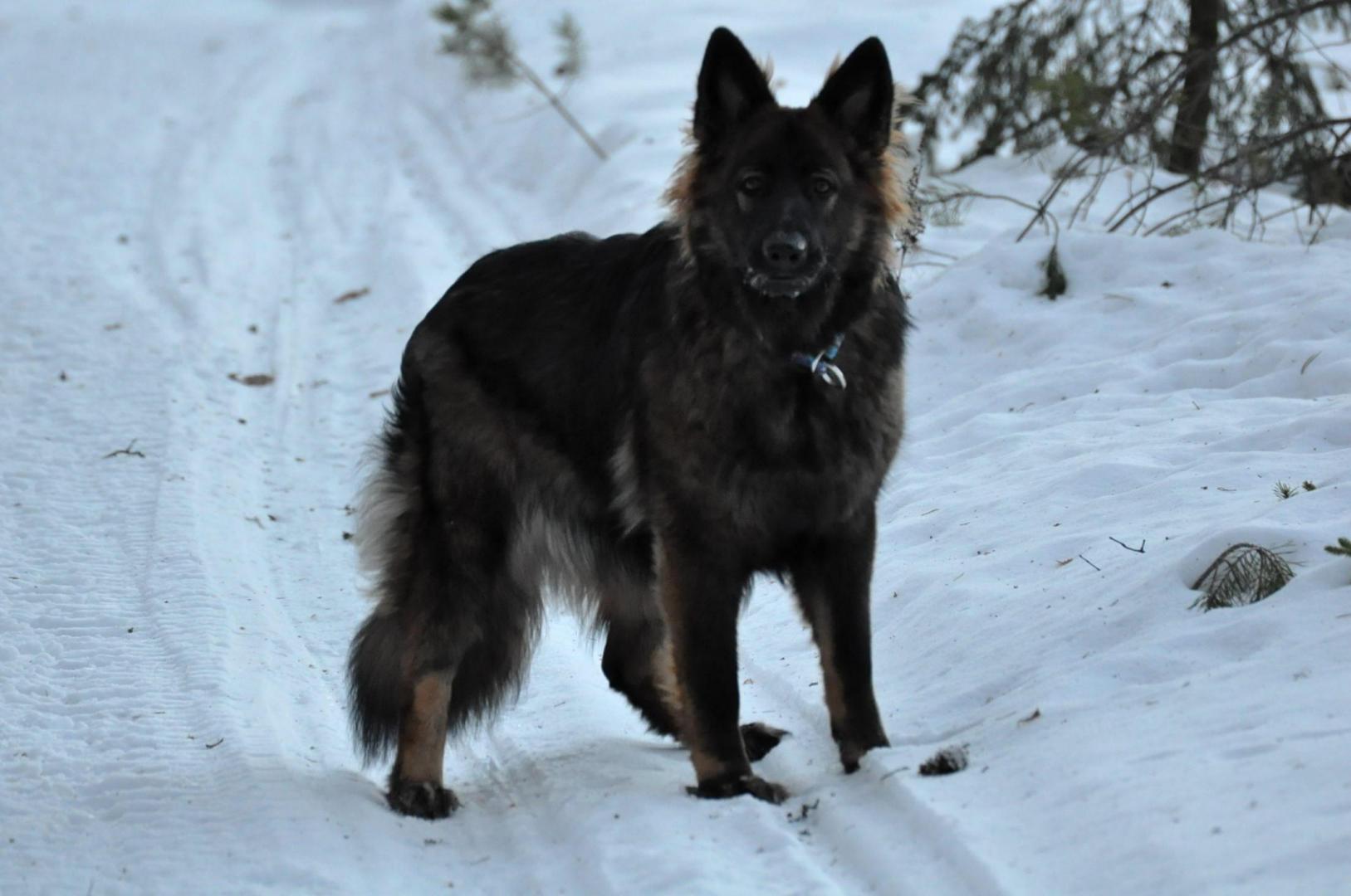 DSC_0022.JPG