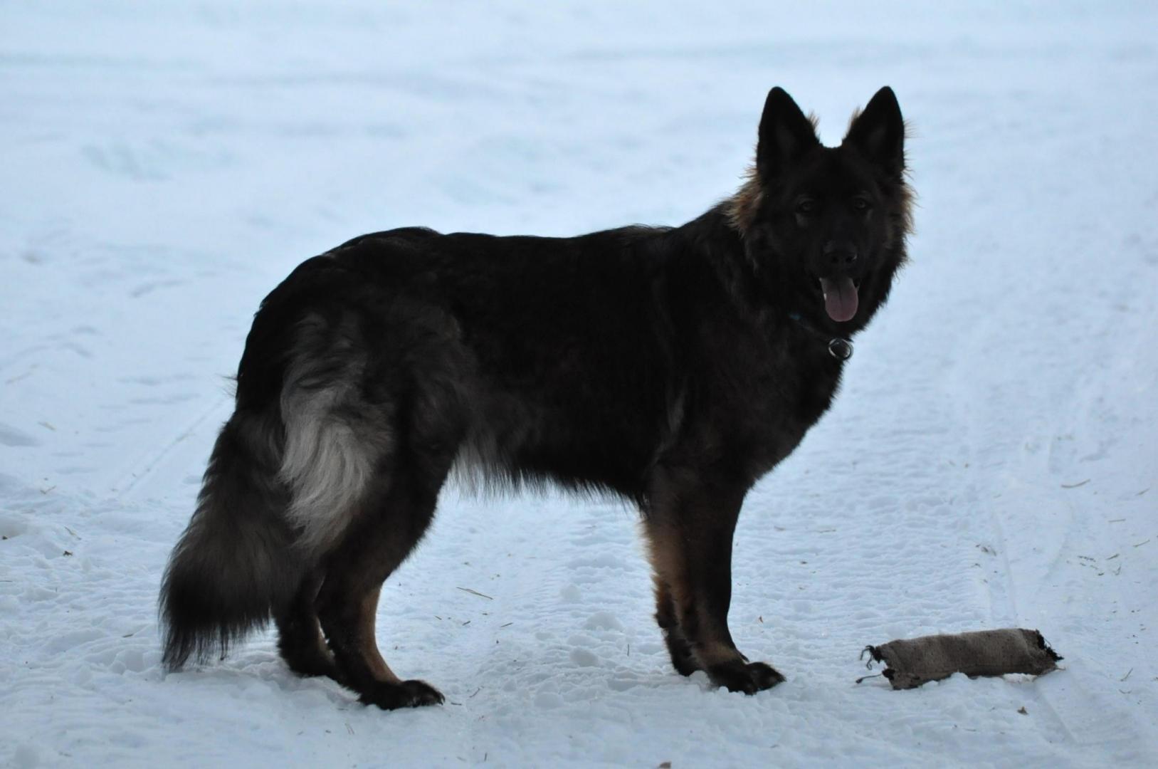 DSC_0051.JPG