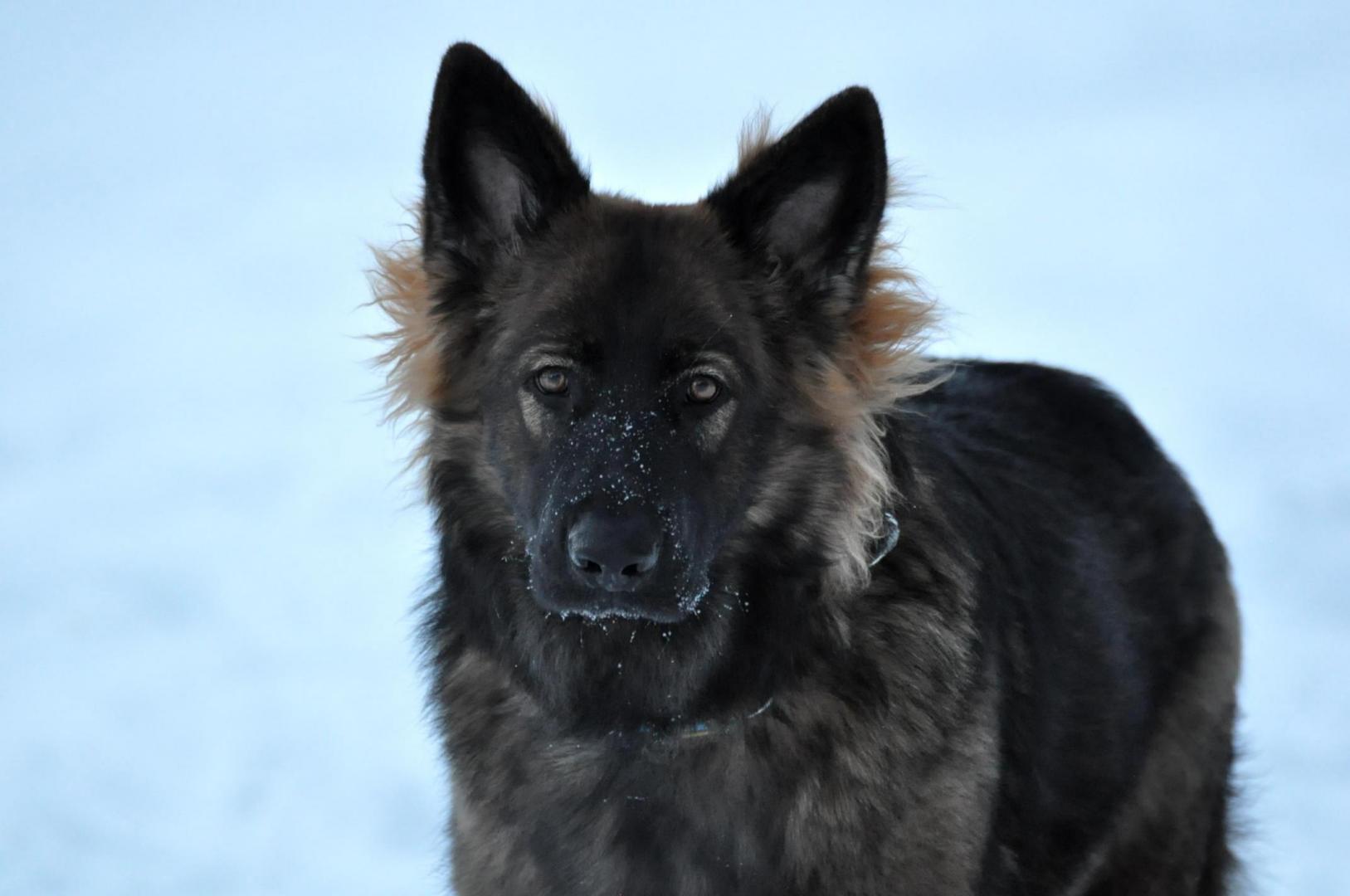 DSC_0061.JPG