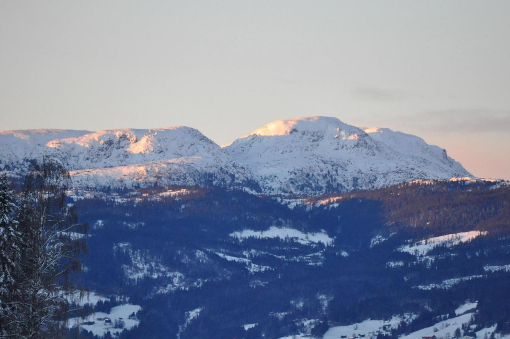 DSC_0077.JPG