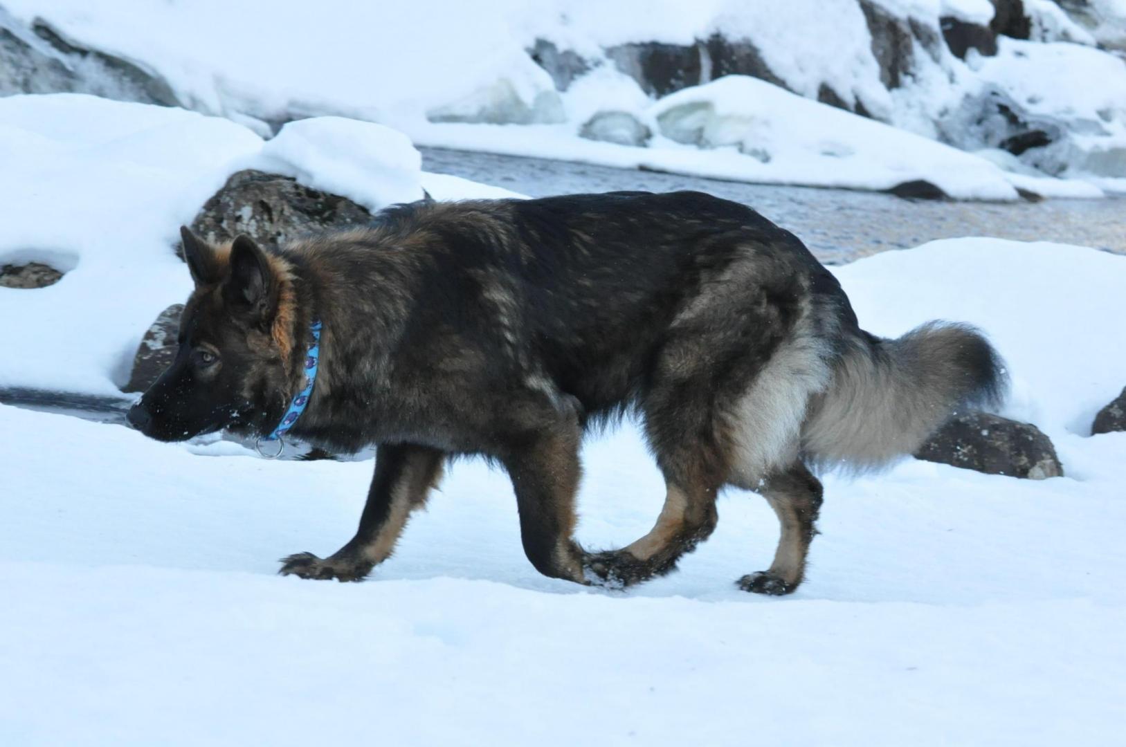 DSC_0091.JPG