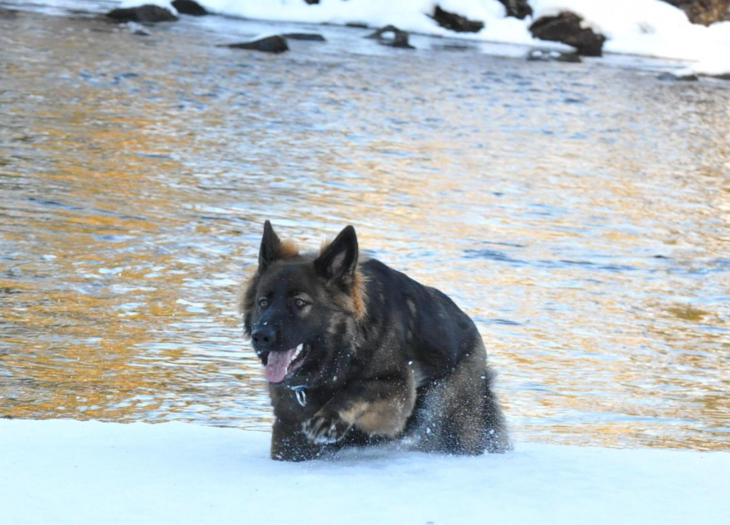 DSC_0101.JPG