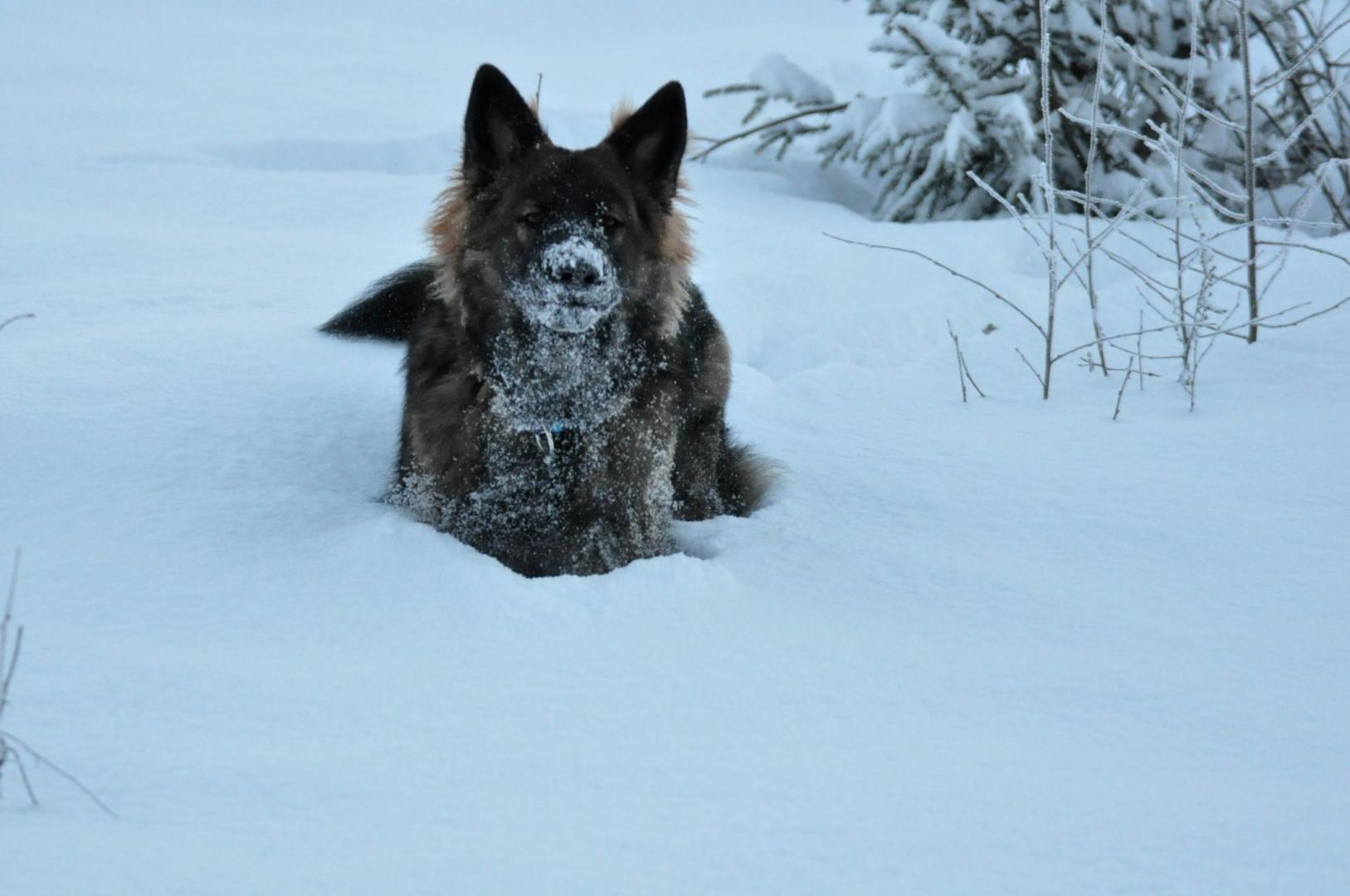 DSC_0175.JPG