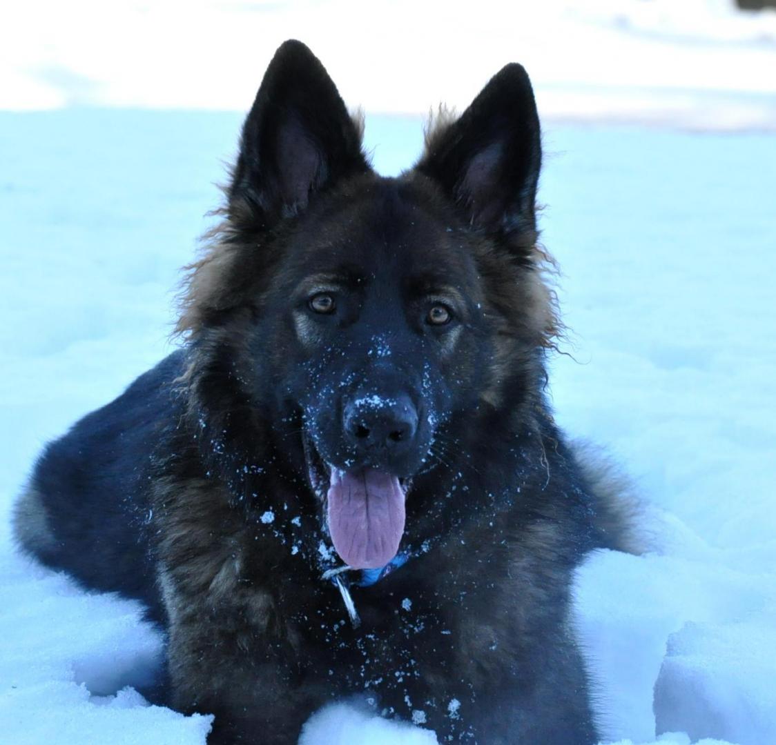 DSC_0178.JPG