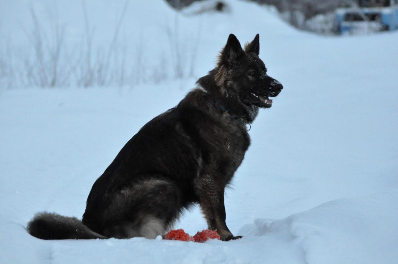 DSC_0212.JPG