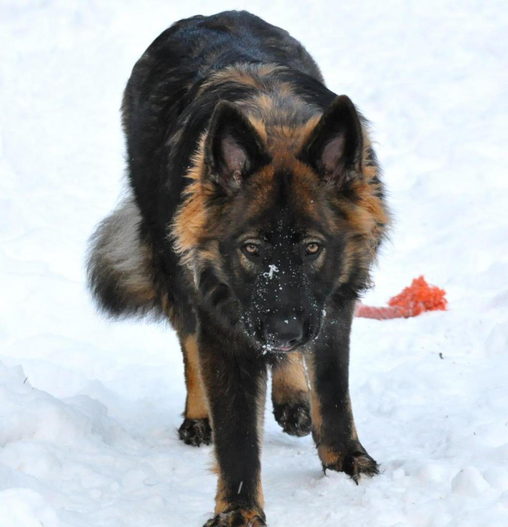 DSC_0336.JPG