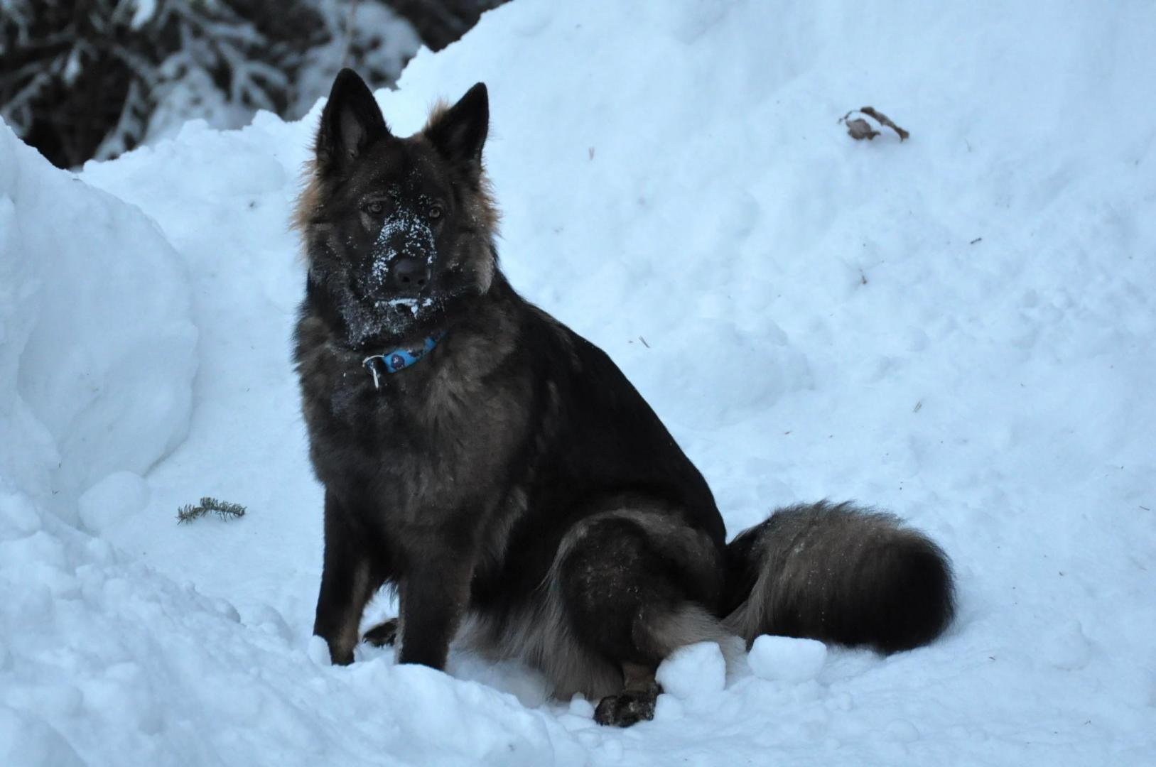 DSC_0347.JPG