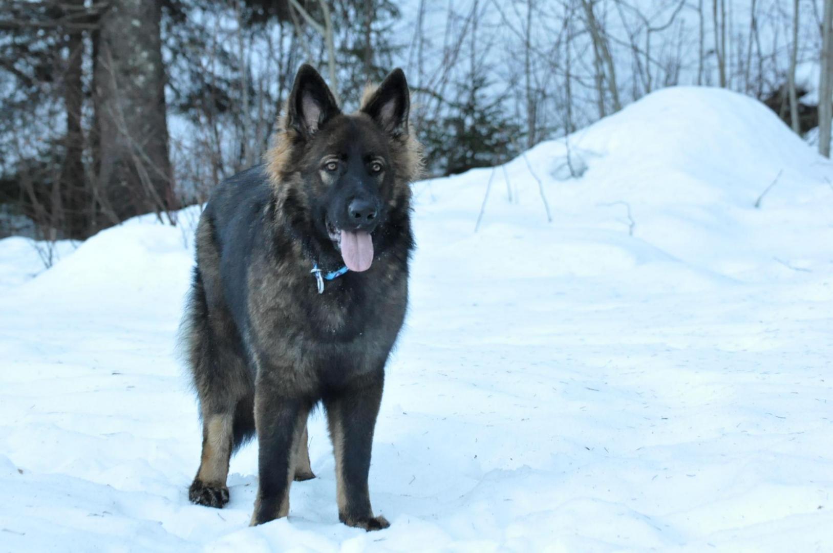 DSC_0370.JPG