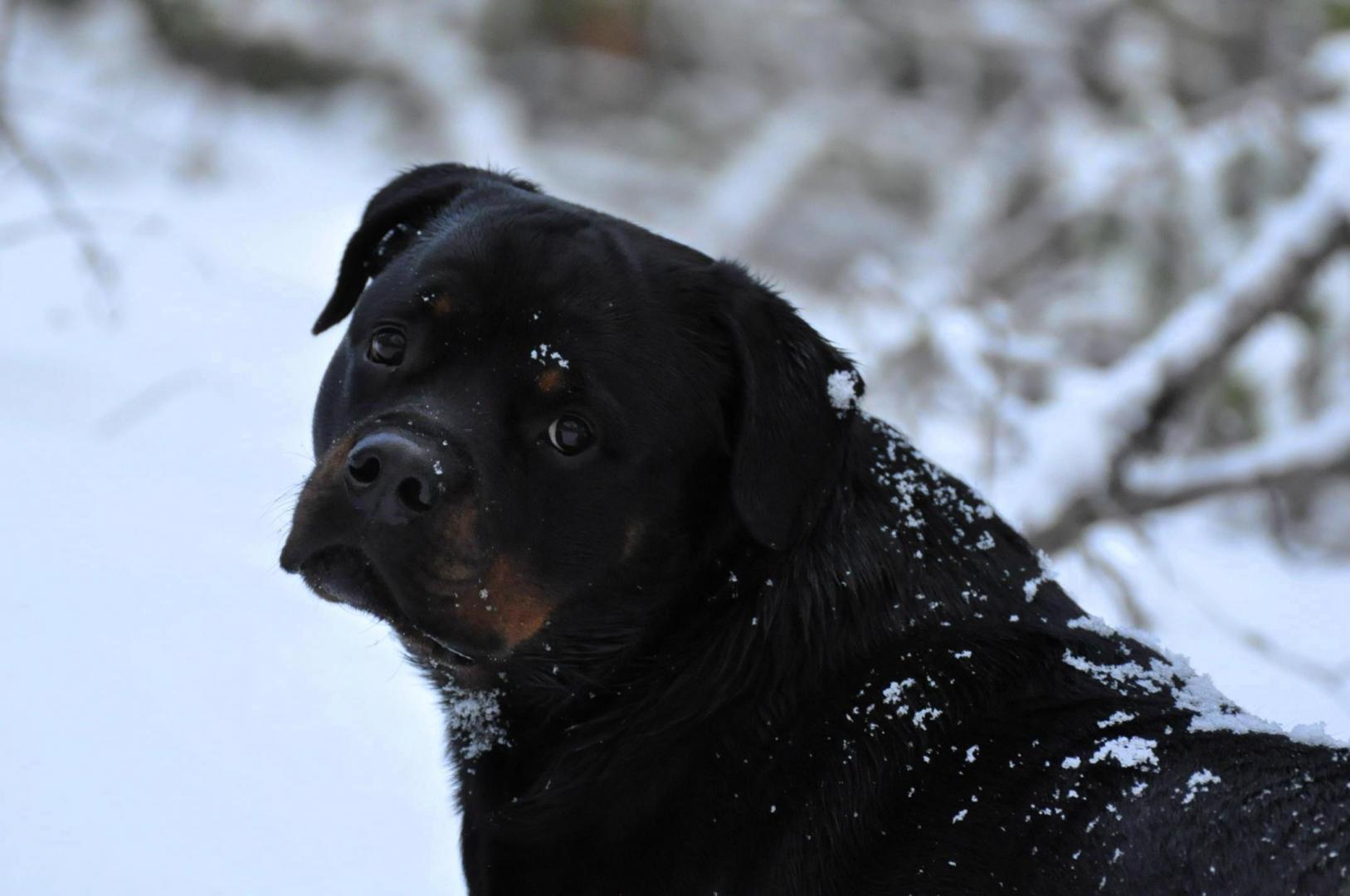 DSC_0378.JPG