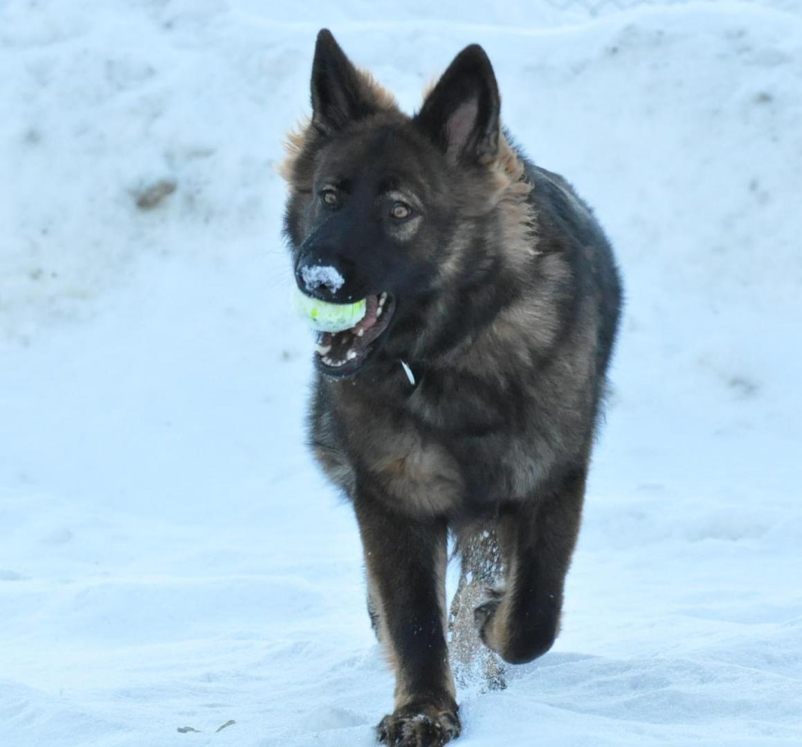 DSC_0505.JPG