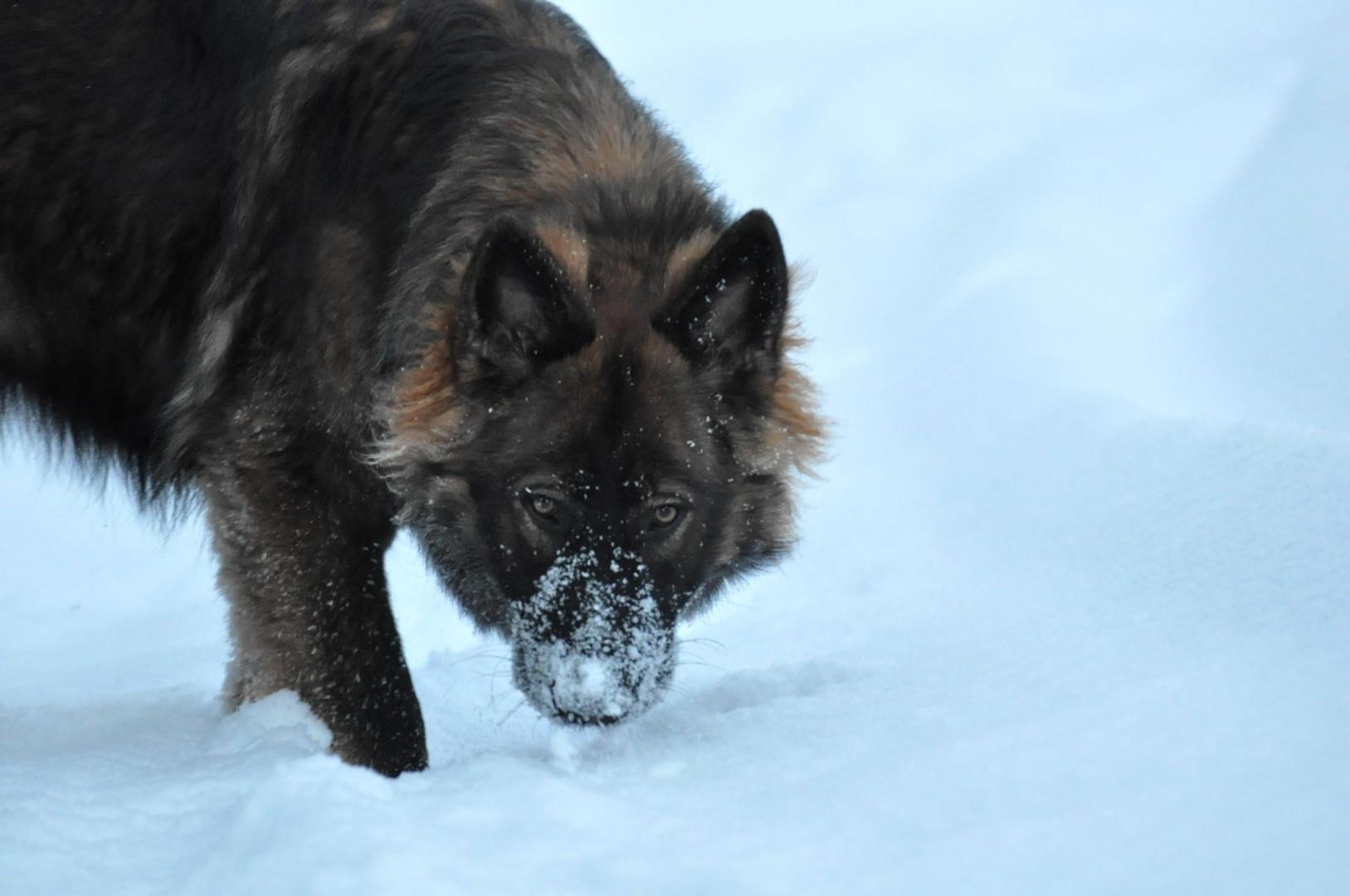 DSC_0566.JPG