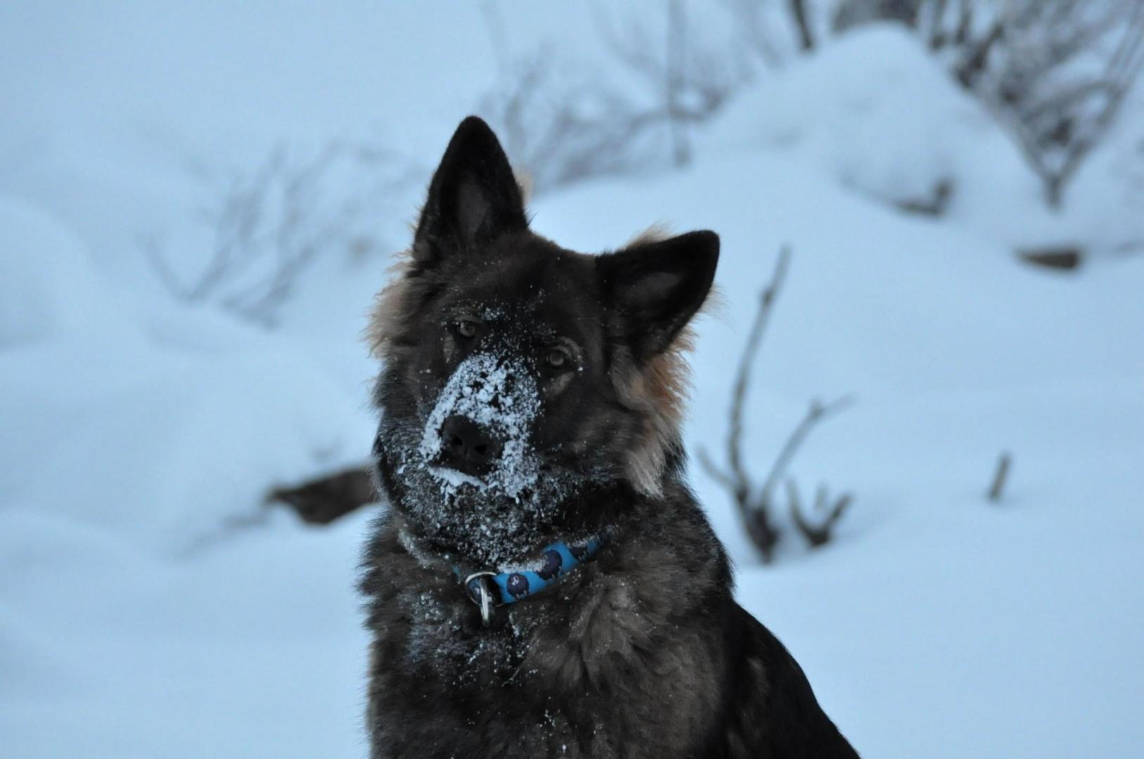 DSC_0712.JPG