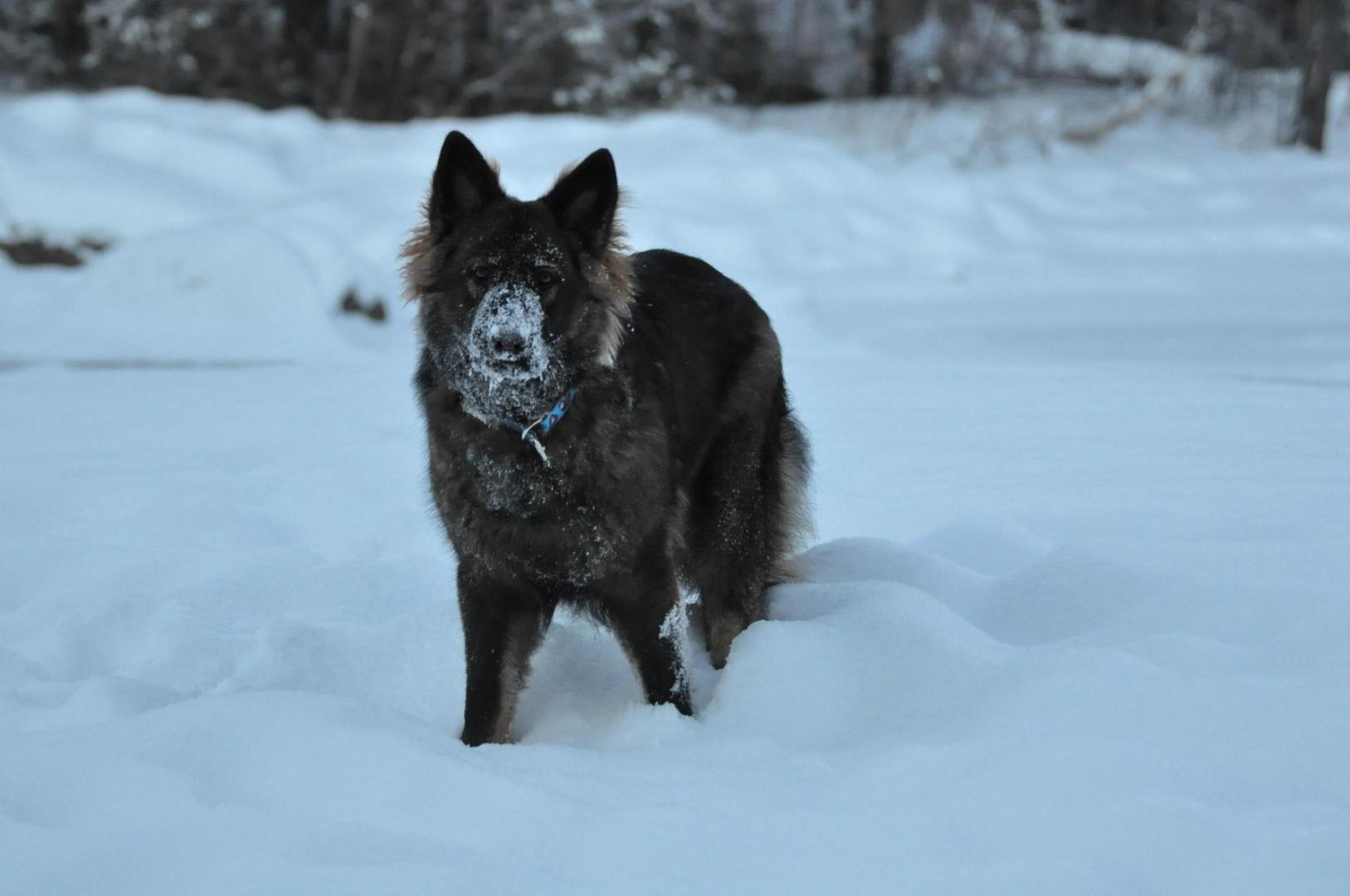 DSC_0756.JPG